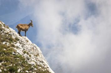 Parc naturel régional du Vercors
