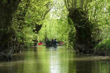 Marais Poitevin